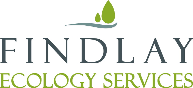 Findlay Ecology Services